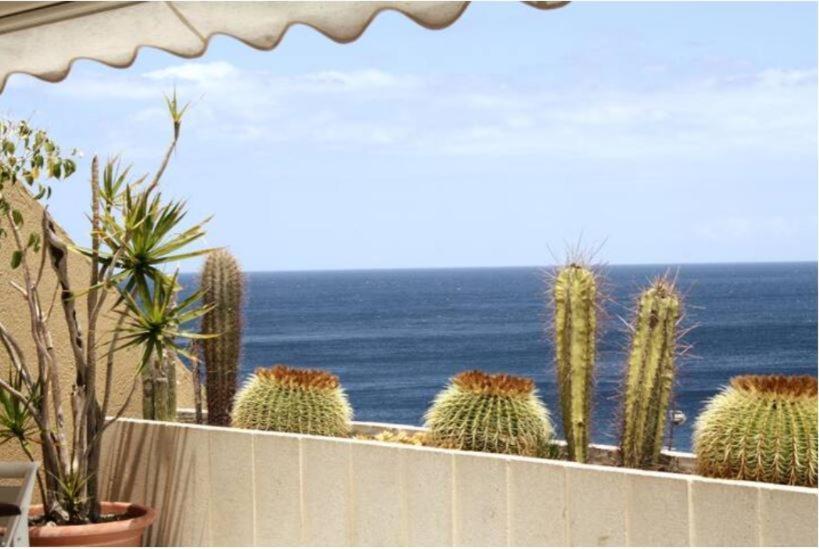 Apartamento Frente Al Mar Radazul Extérieur photo